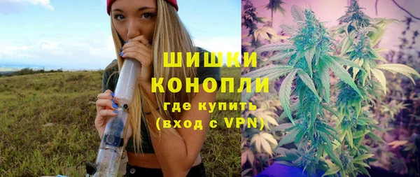 амф Алзамай