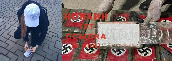 амф Алзамай